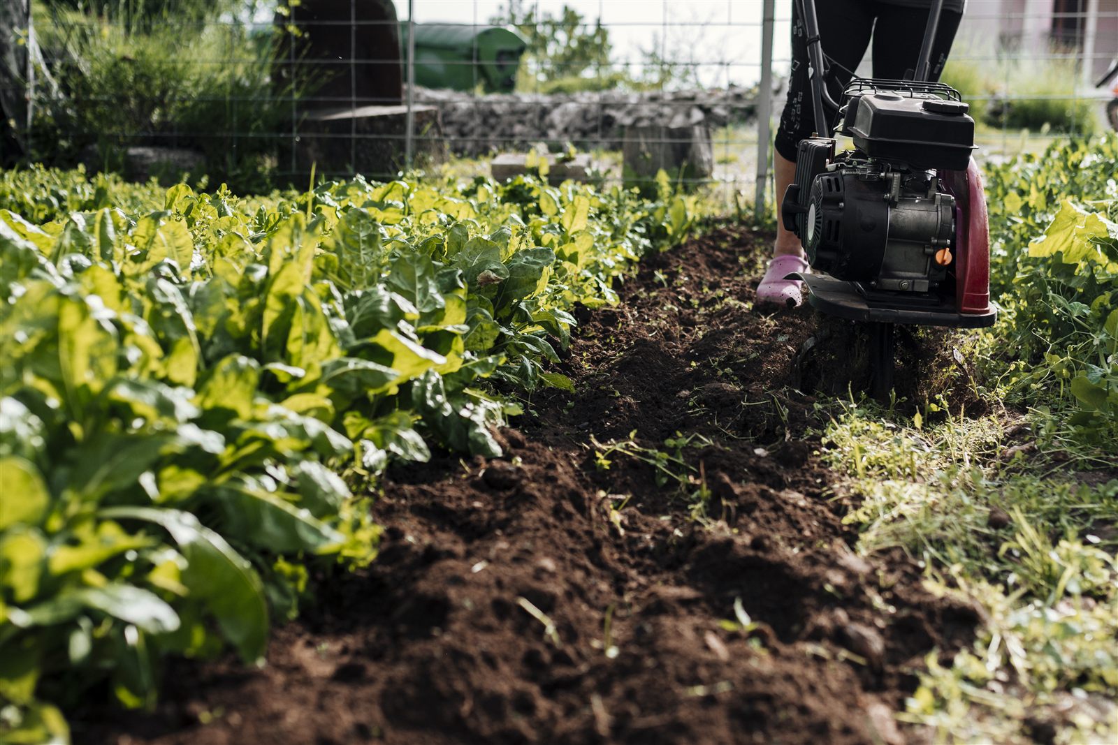 Travail agricole